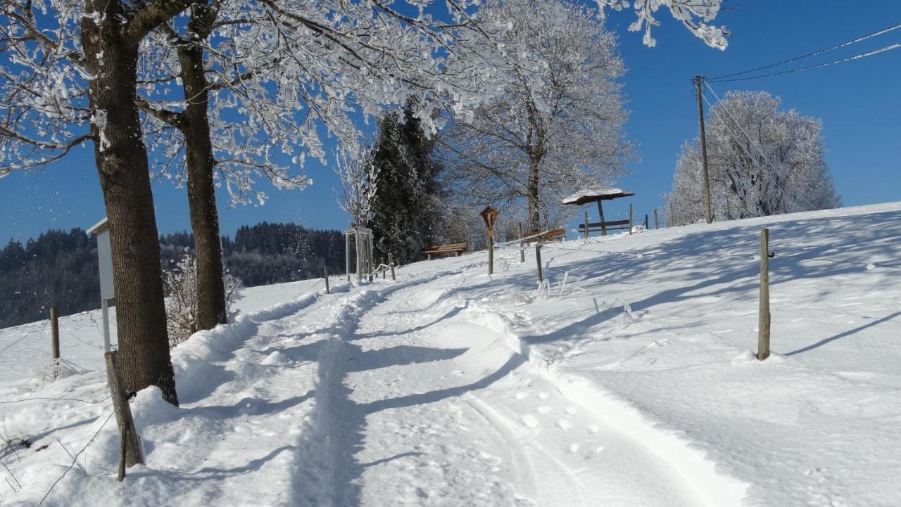 Ferienwohnung Alpenstern Риден Экстерьер фото